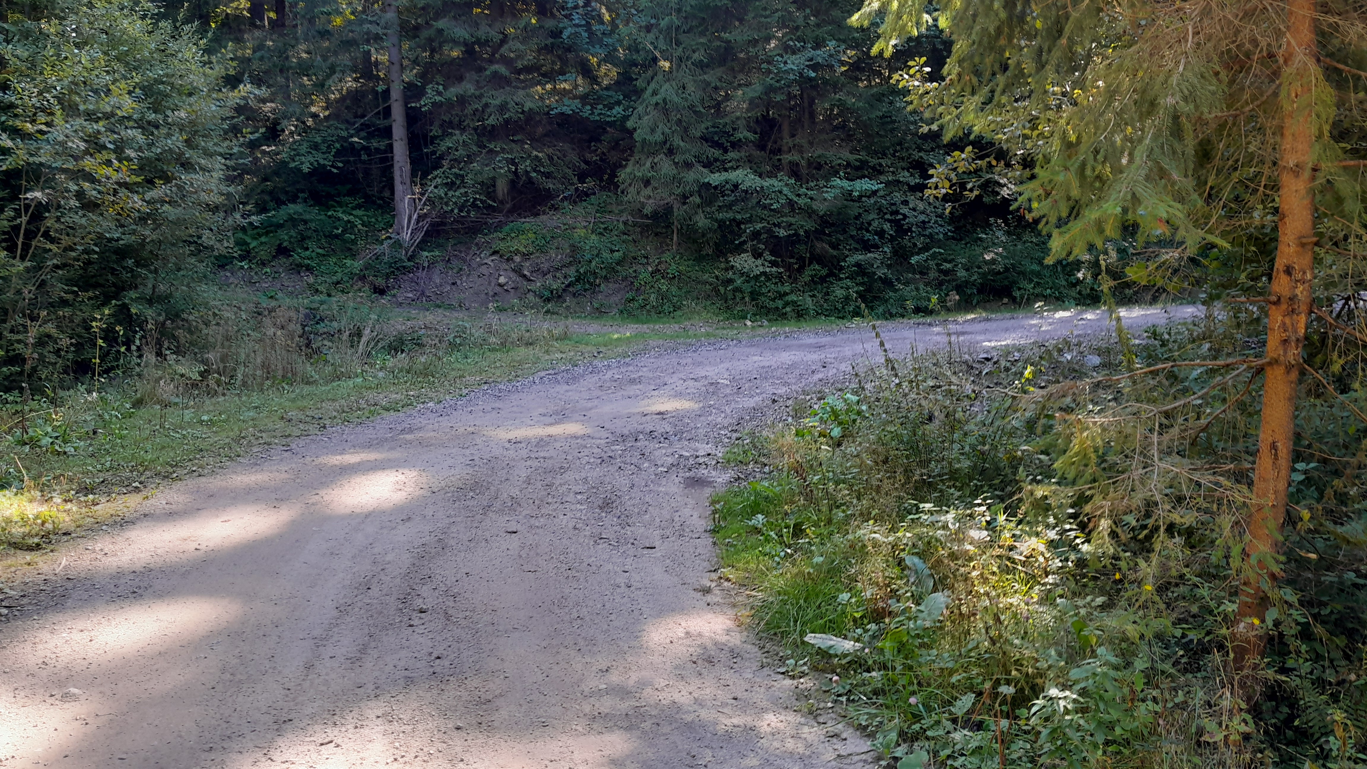 cesta